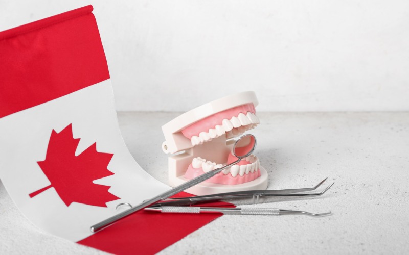 jaw model dental tools flag canada white table